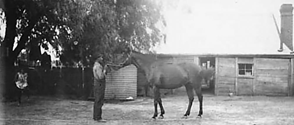 View of the Kelly homestead, Eleven Mile Creek, Glenrowan West. Photo: Leo P. Ryan From Max's notes: This is the yard of Ned’s home. The brick chimney and the iron roof are the only alterations to the home as it was known to Ned. Originally the roof was of bark and the chimney of slabs.