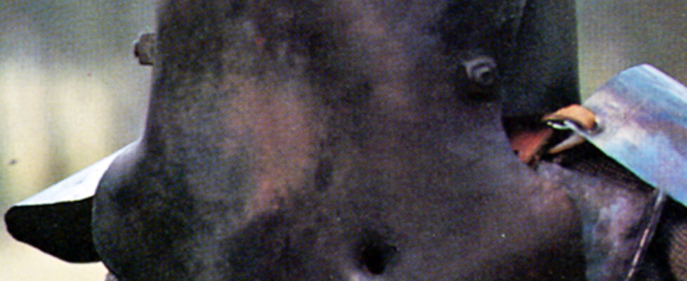 Ned_06