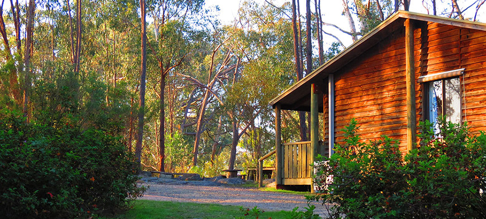 Woolshed Cabins 01