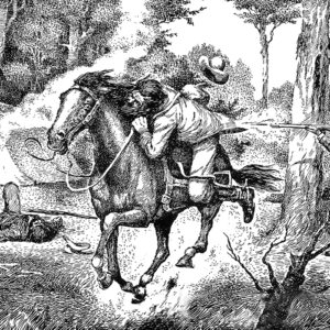 McIntyre-Escaping-Stringybark-01