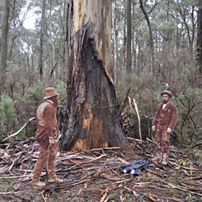 Stringybark-Creek-Report-Pic-2